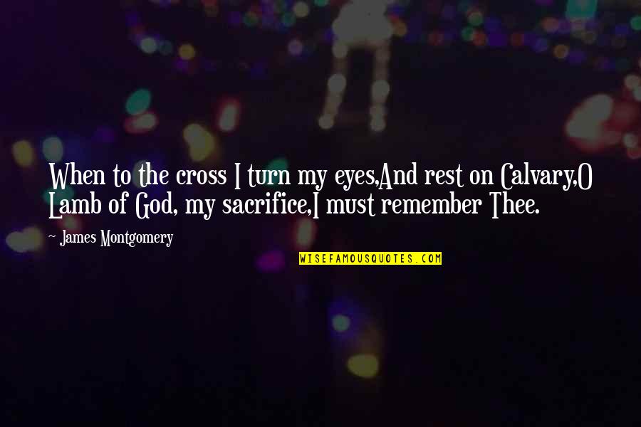Cross Calvary Quotes By James Montgomery: When to the cross I turn my eyes,And