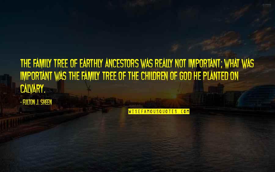 Cross Of Calvary Quotes By Fulton J. Sheen: The family tree of earthly ancestors was really