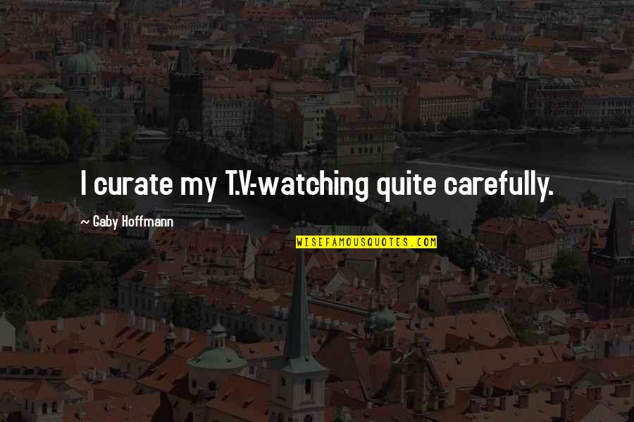 Crossfit Coach Glassman Quotes By Gaby Hoffmann: I curate my T.V.-watching quite carefully.