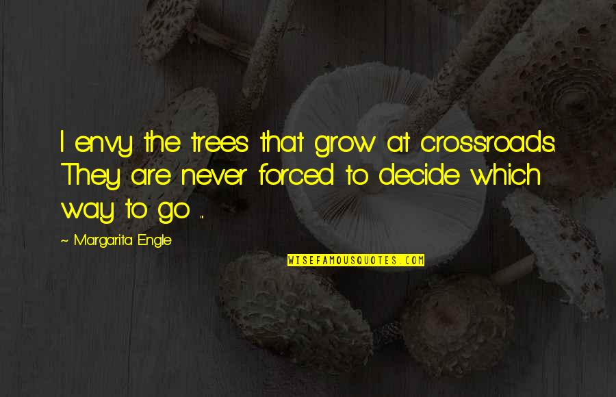 Crossroads Quotes By Margarita Engle: I envy the trees that grow at crossroads.