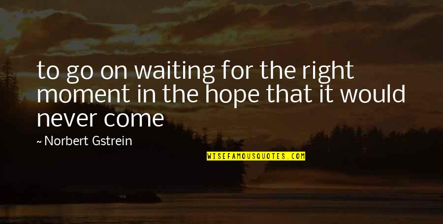 Crosswire Quotes By Norbert Gstrein: to go on waiting for the right moment