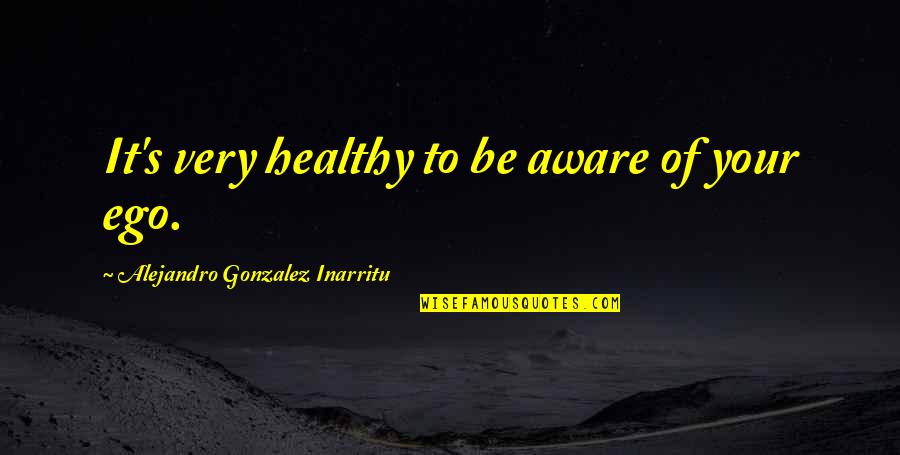 Crostone Quotes By Alejandro Gonzalez Inarritu: It's very healthy to be aware of your