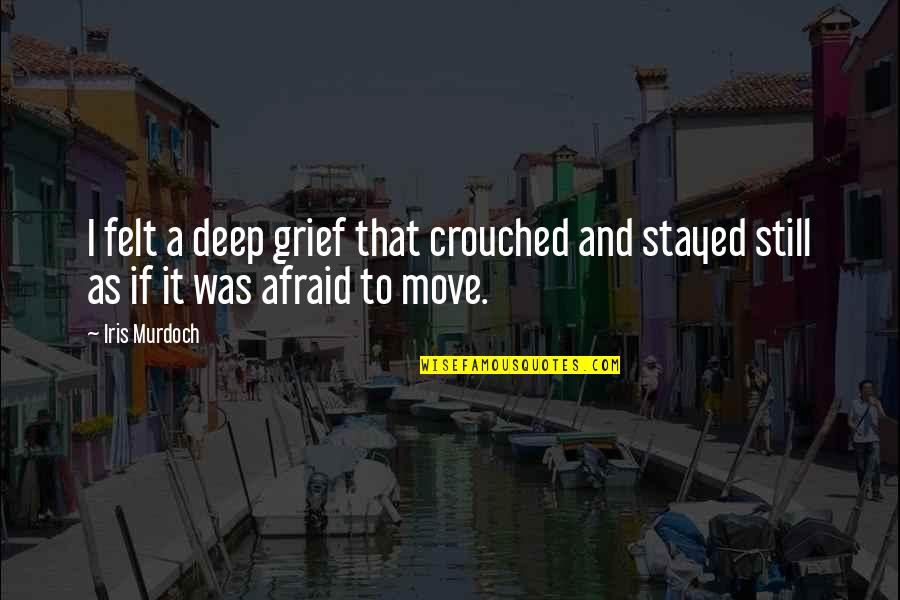 Crouched Quotes By Iris Murdoch: I felt a deep grief that crouched and