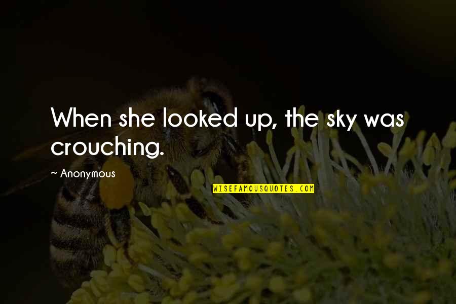 Crouching Quotes By Anonymous: When she looked up, the sky was crouching.