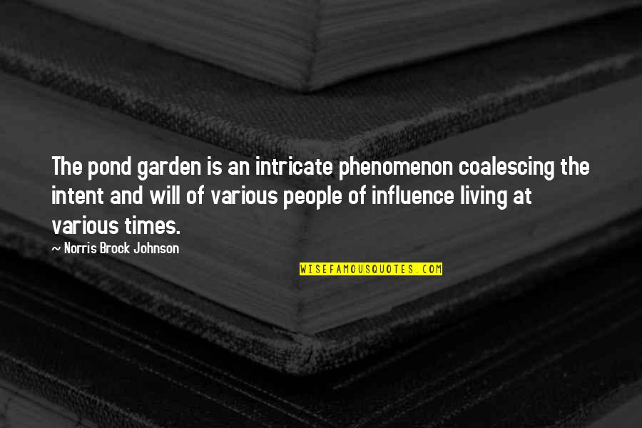 Crowd 1928 Quotes By Norris Brock Johnson: The pond garden is an intricate phenomenon coalescing Crowd 1928 Quotes By Norris Brock Johnson: The pond garden is an intricate phenomenon coalescing