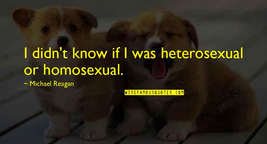 Crowd And Company Quotes By Michael Reagan: I didn't know if I was heterosexual or