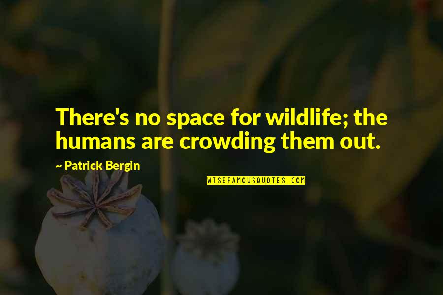 Crowding Quotes By Patrick Bergin: There's no space for wildlife; the humans are