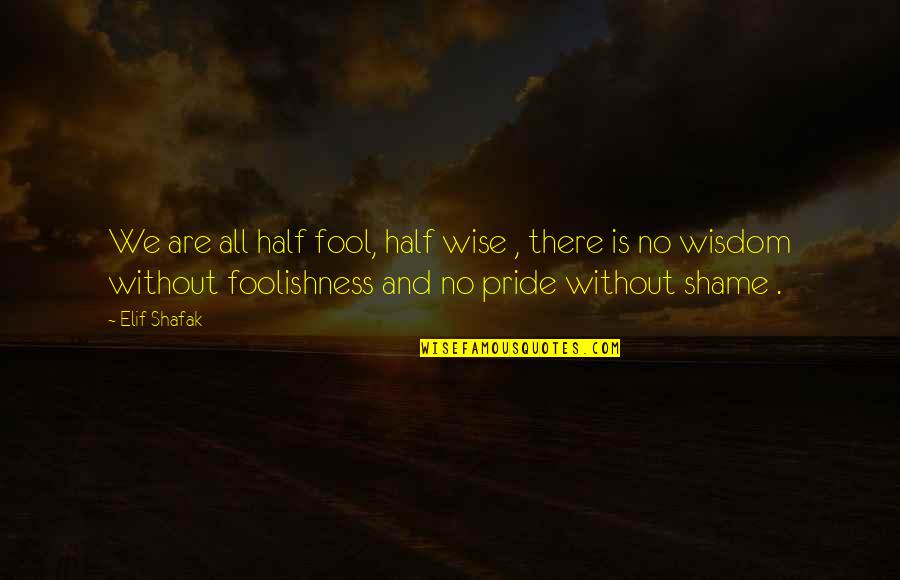 Crowningshieldite Quotes By Elif Shafak: We are all half fool, half wise ,