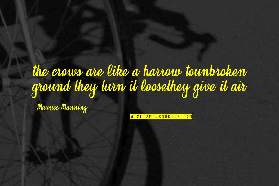 Crows Quotes By Maurice Manning: the crows are like a harrow tounbroken ground