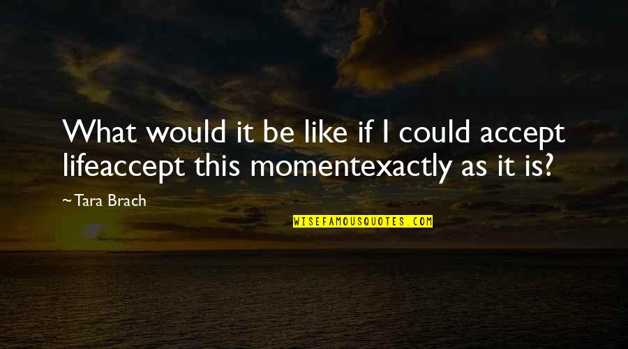 Crozilla Quotes By Tara Brach: What would it be like if I could