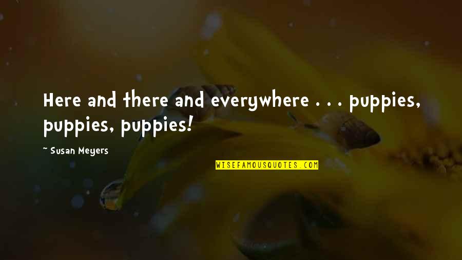 Crtica Pravopis Quotes By Susan Meyers: Here and there and everywhere . . .