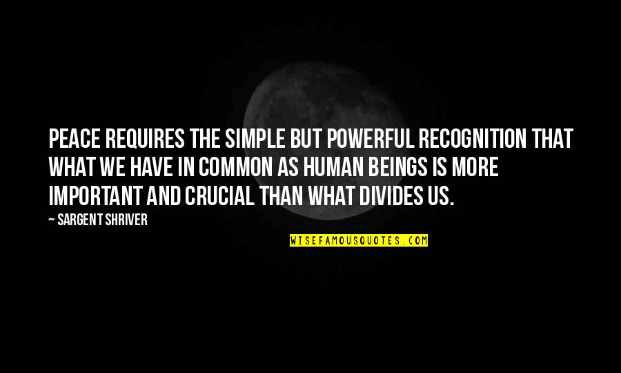 Crucial Quotes By Sargent Shriver: Peace requires the simple but powerful recognition that