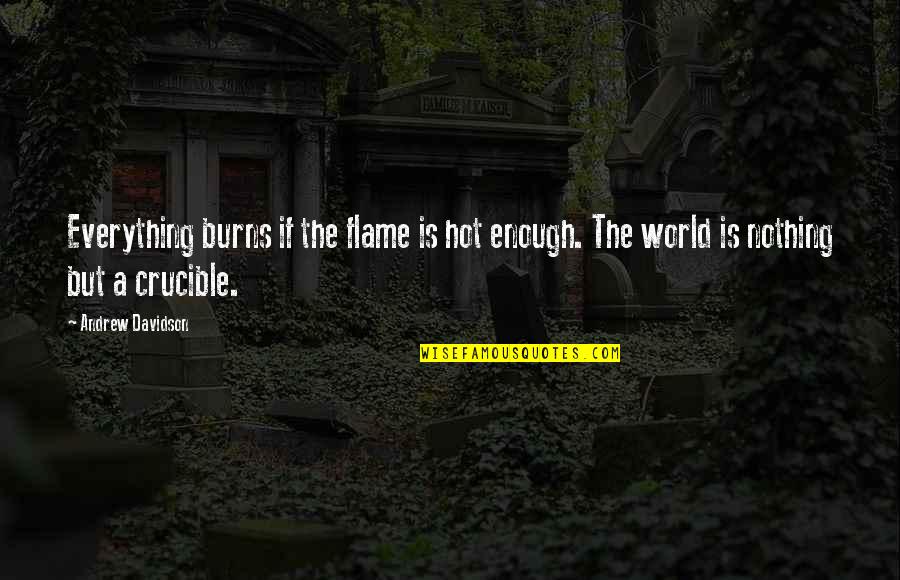 Crucible Quotes By Andrew Davidson: Everything burns if the flame is hot enough.