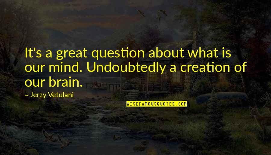 Cruciform Quotes By Jerzy Vetulani: It's a great question about what is our