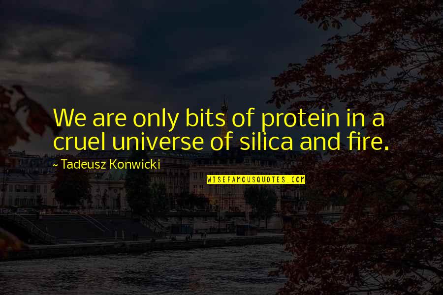 Cruel Quotes By Tadeusz Konwicki: We are only bits of protein in a