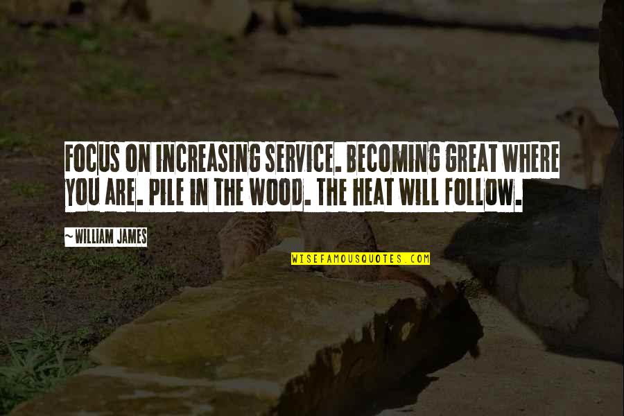 Cruelle Quotes By William James: Focus on increasing service. Becoming great where you