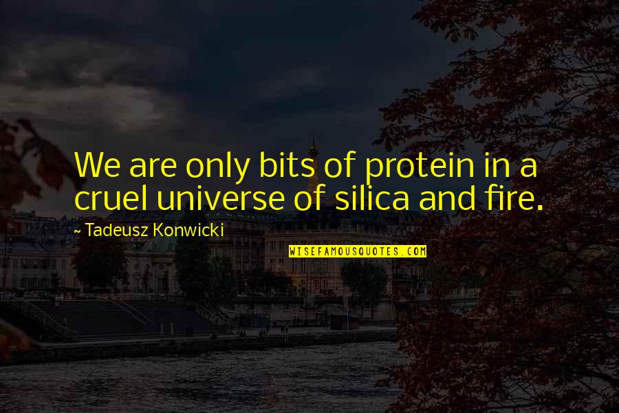 Cruel'n'crookit Quotes By Tadeusz Konwicki: We are only bits of protein in a