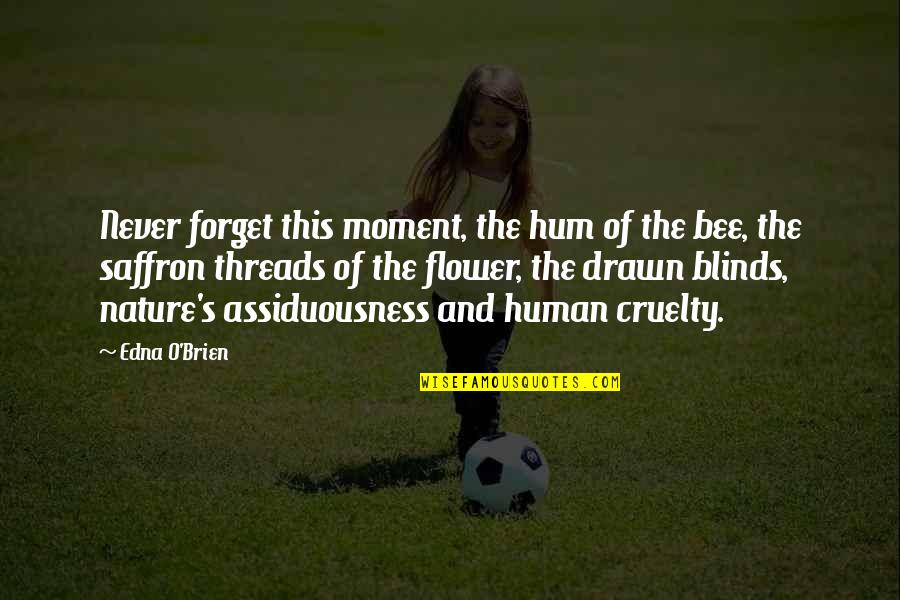 Cruelty Of Human Nature Quotes By Edna O'Brien: Never forget this moment, the hum of the