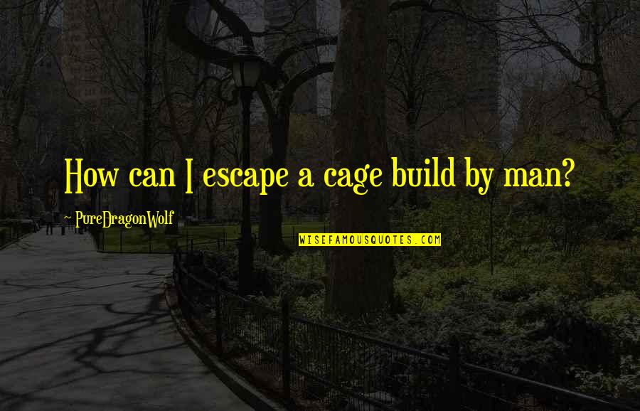 Cruelty Of Human Nature Quotes By PureDragonWolf: How can I escape a cage build by