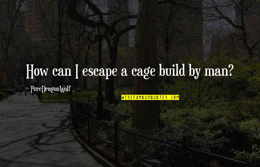 Cruelty Of Humanity Quotes By PureDragonWolf: How can I escape a cage build by