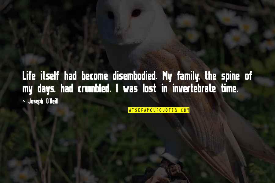Crumbled Life Quotes By Joseph O'Neill: Life itself had become disembodied. My family, the