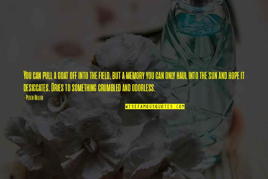 Crumbled Quotes By Peter Heller: You can pull a goat off into the