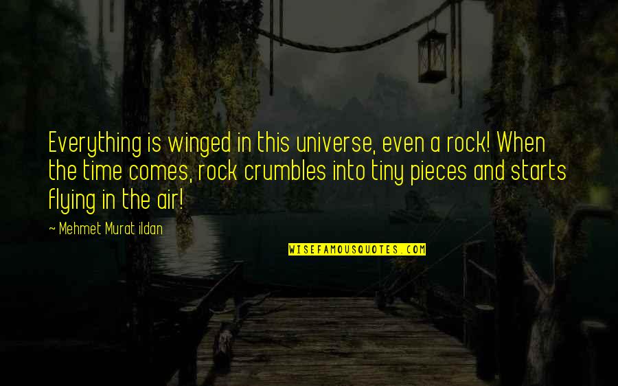 Crumbles Quotes By Mehmet Murat Ildan: Everything is winged in this universe, even a