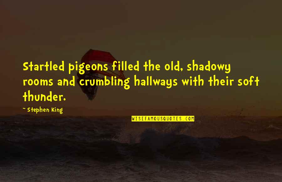 Crumbling Quotes By Stephen King: Startled pigeons filled the old, shadowy rooms and Crumbling Quotes By Stephen King: Startled pigeons filled the old, shadowy rooms and