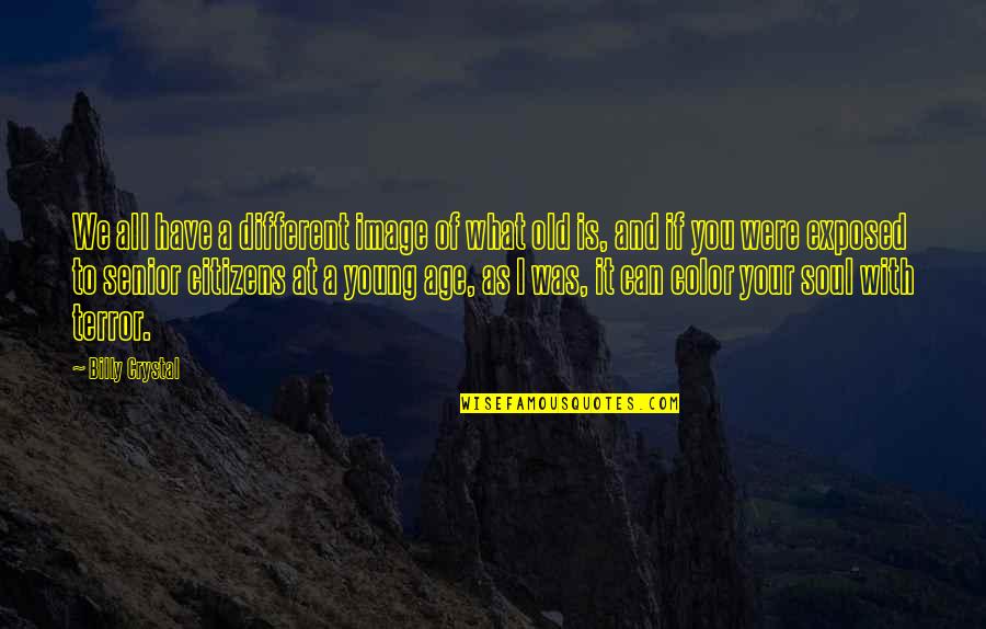 Crumbling Wall Quotes By Billy Crystal: We all have a different image of what