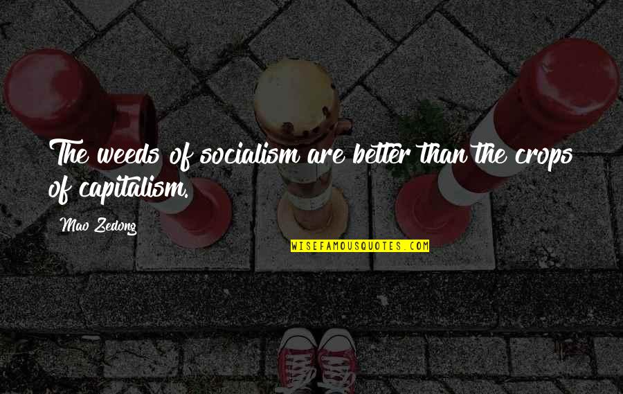Crumbs Cupcakes Quotes By Mao Zedong: The weeds of socialism are better than the