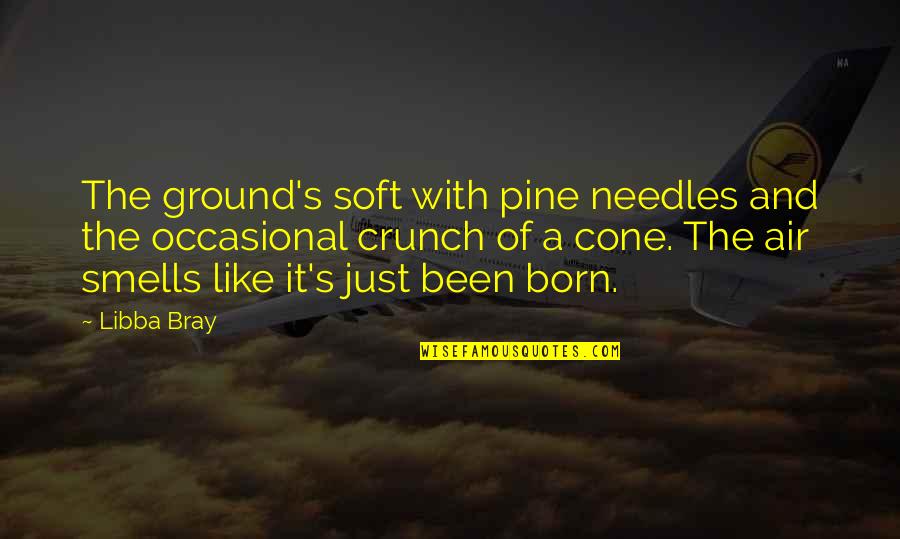 Crunch Quotes By Libba Bray: The ground's soft with pine needles and the Crunch Quotes By Libba Bray: The ground's soft with pine needles and the