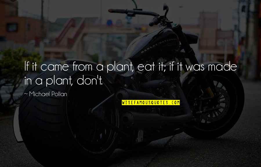 Crunchy Chicken Quotes By Michael Pollan: If it came from a plant, eat it; Crunchy Chicken Quotes By Michael Pollan: If it came from a plant, eat it;
