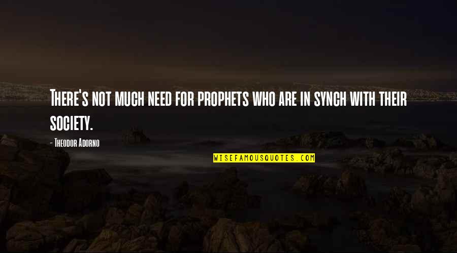 Crush Ignores Me Quotes By Theodor Adorno: There's not much need for prophets who are