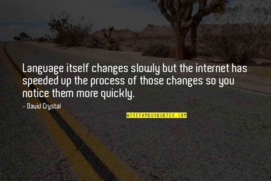 Crushes In Spanish Quotes By David Crystal: Language itself changes slowly but the internet has