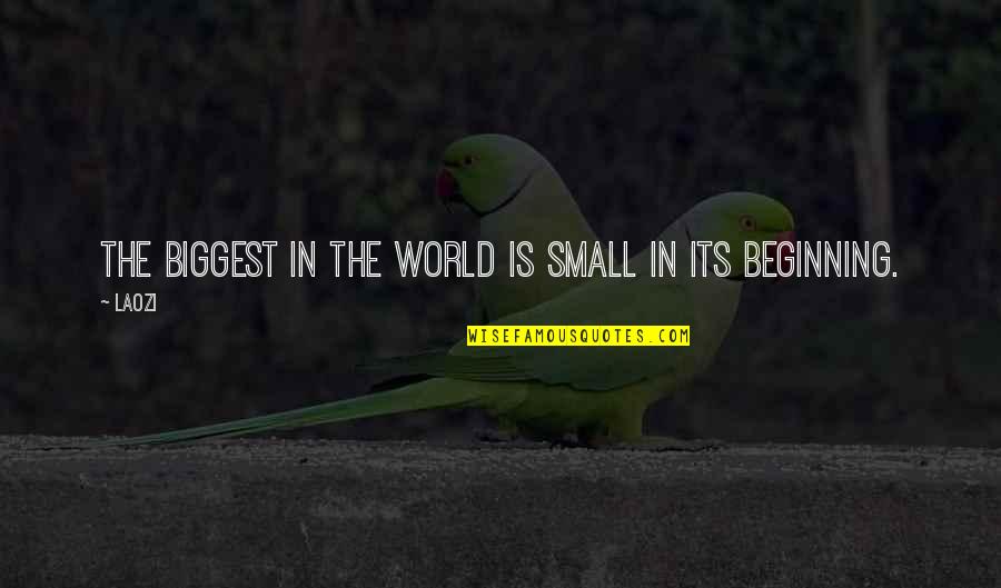 Cruzona Quotes By Laozi: The biggest in the world is small in