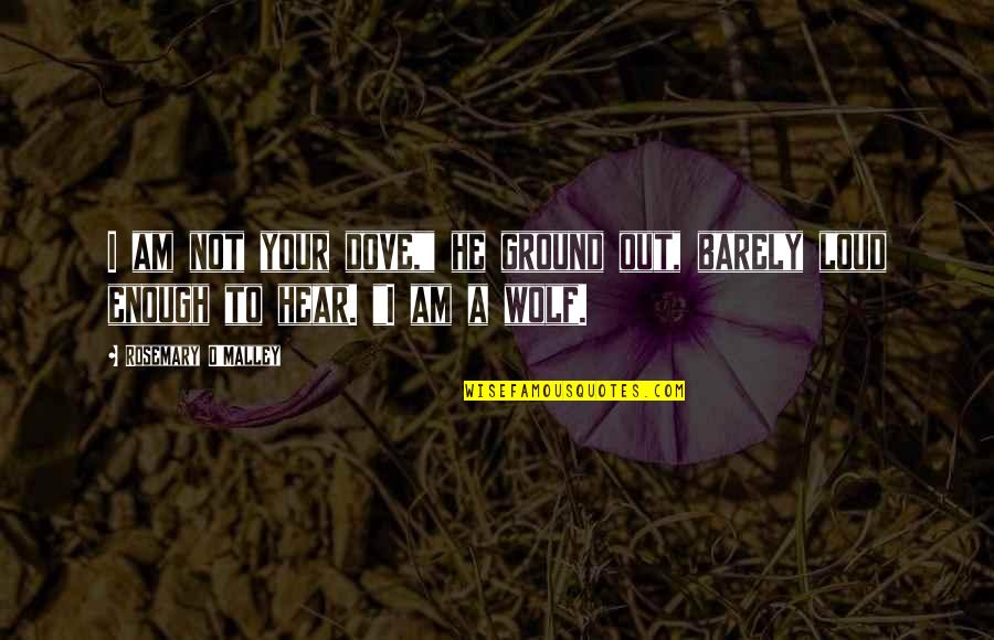 Cry Out Loud Quotes By Rosemary O'Malley: I am not your dove," he ground out, Cry Out Loud Quotes By Rosemary O'Malley: I am not your dove," he ground out,