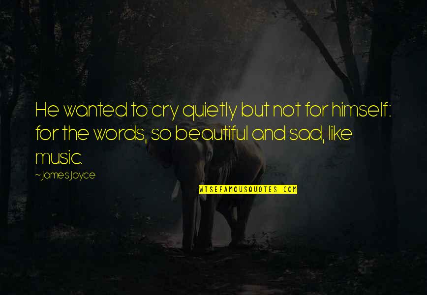 Cry Sad Quotes By James Joyce: He wanted to cry quietly but not for