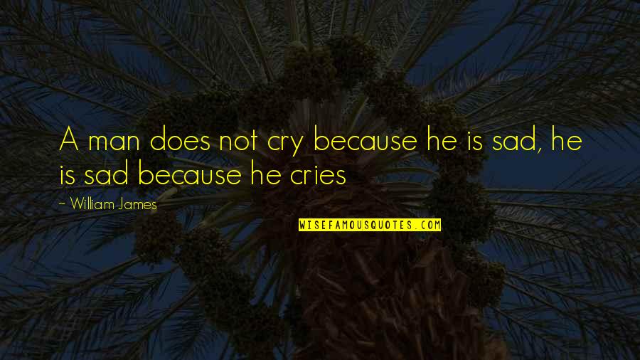 Cry Sad Quotes By William James: A man does not cry because he is
