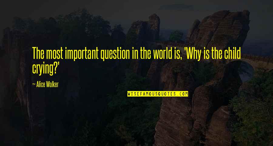 Crying Child Quotes By Alice Walker: The most important question in the world is,
