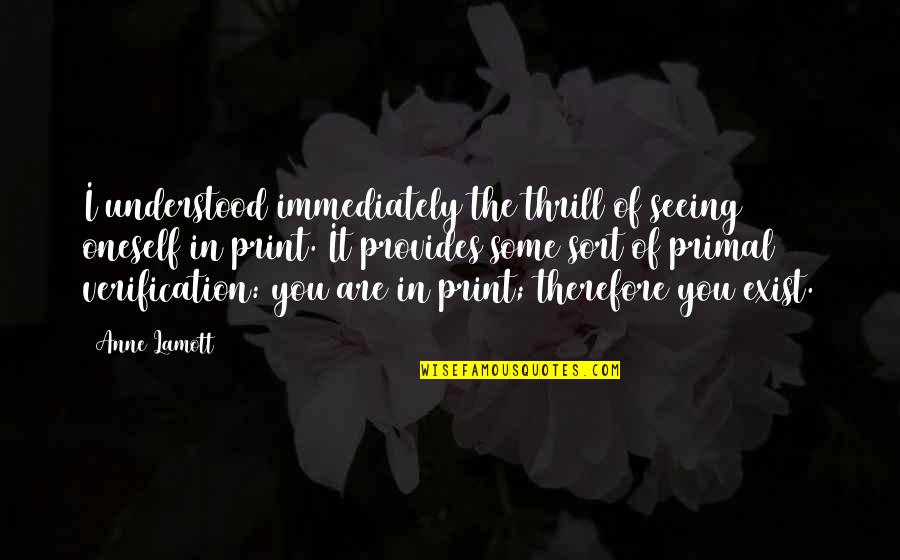 Crying Over The Past Quotes By Anne Lamott: I understood immediately the thrill of seeing oneself