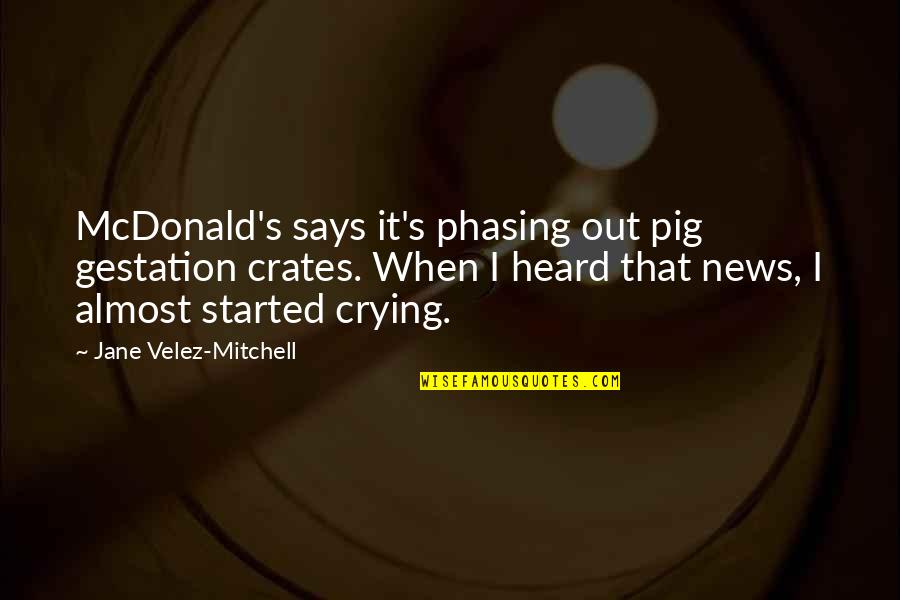 Crying's Quotes By Jane Velez-Mitchell: McDonald's says it's phasing out pig gestation crates.