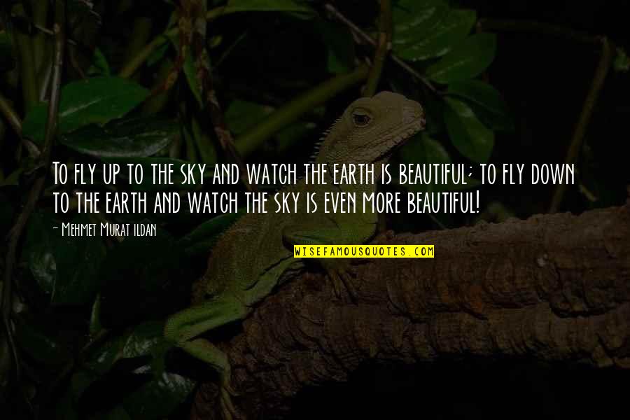 Cryptocurrency Trading Quotes By Mehmet Murat Ildan: To fly up to the sky and watch