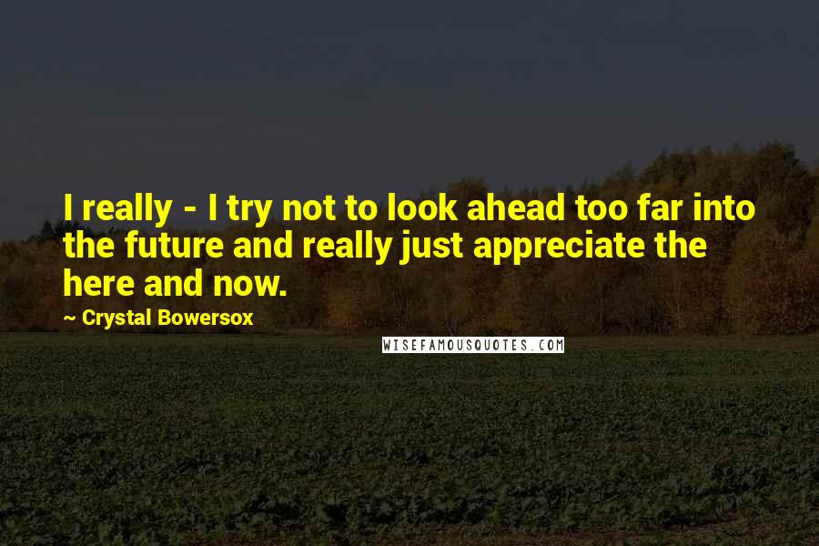 Crystal Bowersox quotes: I really - I try not to look ahead too far into the future and really just appreciate the here and now.