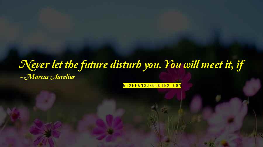 Csattan S Quotes By Marcus Aurelius: Never let the future disturb you. You will