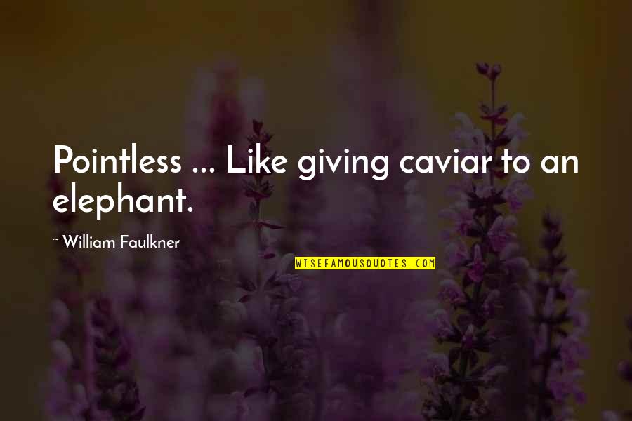 Csengeri Attila Quotes By William Faulkner: Pointless ... Like giving caviar to an elephant. Csengeri Attila Quotes By William Faulkner: Pointless ... Like giving caviar to an elephant.