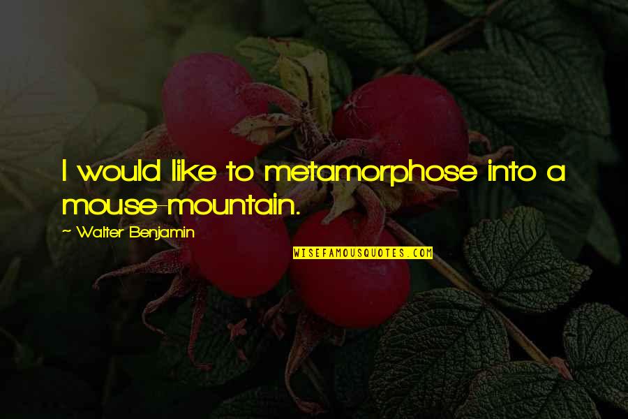 Csongor P Rja Quotes By Walter Benjamin: I would like to metamorphose into a mouse-mountain. Csongor P Rja Quotes By Walter Benjamin: I would like to metamorphose into a mouse-mountain.