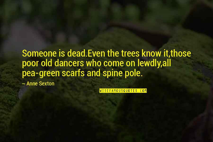 Cuadros Estadisticos Quotes By Anne Sexton: Someone is dead.Even the trees know it,those poor