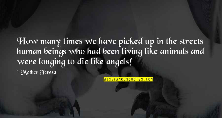 Cualquier Quotes By Mother Teresa: How many times we have picked up in Cualquier Quotes By Mother Teresa: How many times we have picked up in