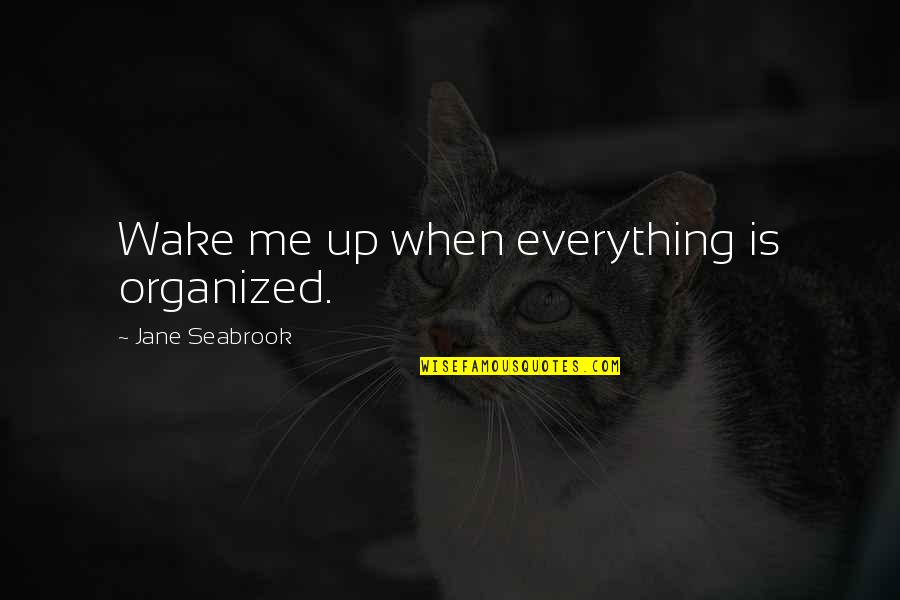 Cuarny Quotes By Jane Seabrook: Wake me up when everything is organized. Cuarny Quotes By Jane Seabrook: Wake me up when everything is organized.