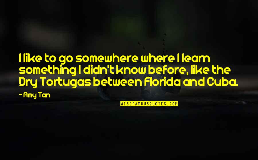 Cuba Quotes By Amy Tan: I like to go somewhere where I learn